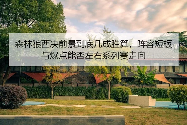 森林狼西决前景到底几成胜算，阵容短板与爆点能否左右系列赛走向